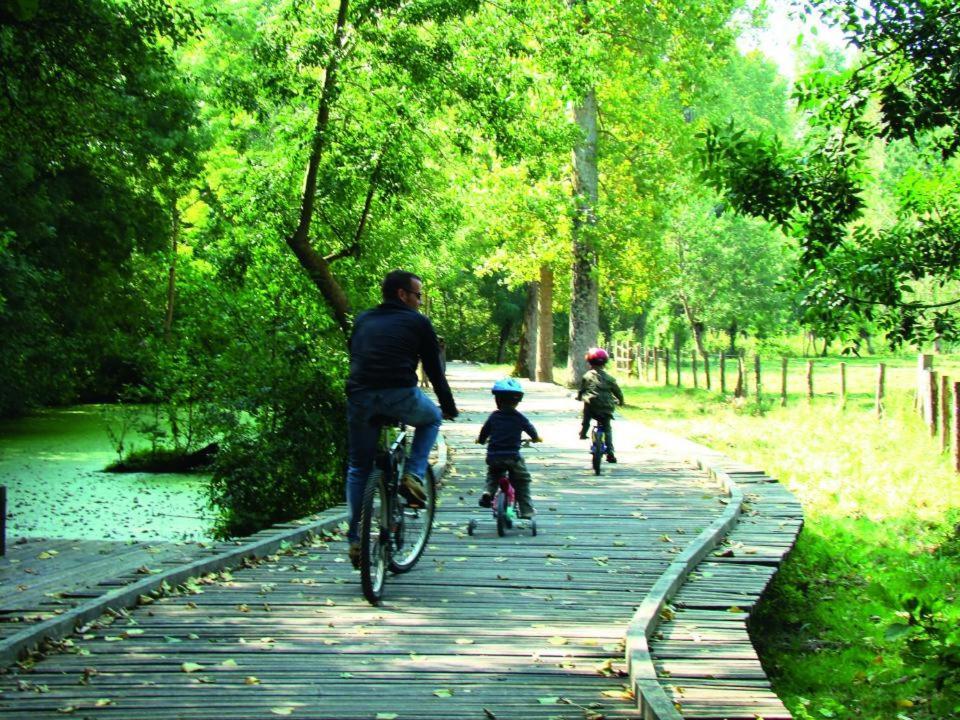 Dolce Vita En Centre Ville Niort Bagian luar foto
